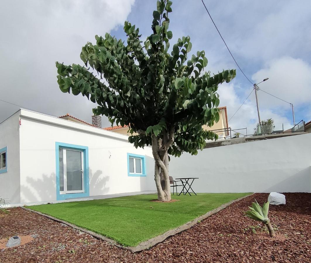 Вилла Madeira Blue House Кальета Экстерьер фото