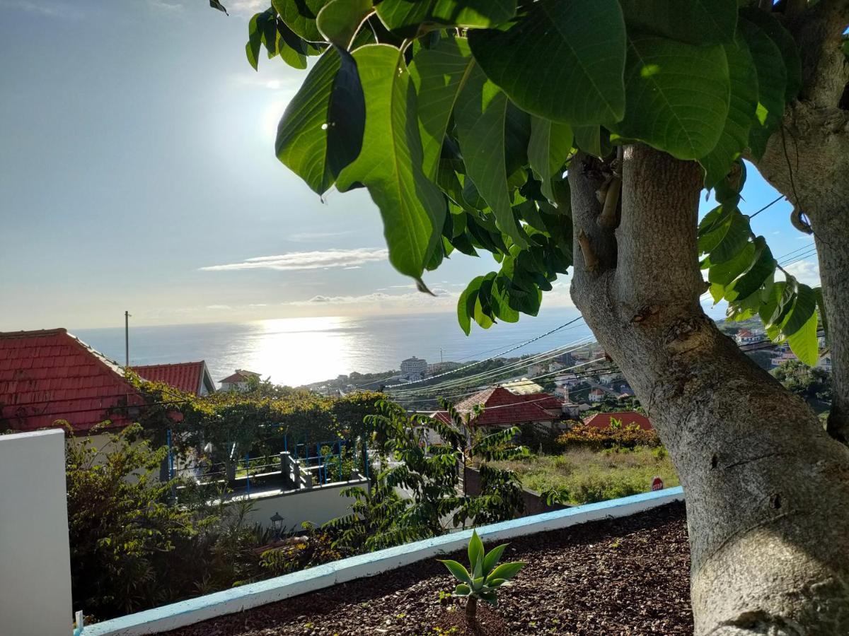 Вилла Madeira Blue House Кальета Экстерьер фото